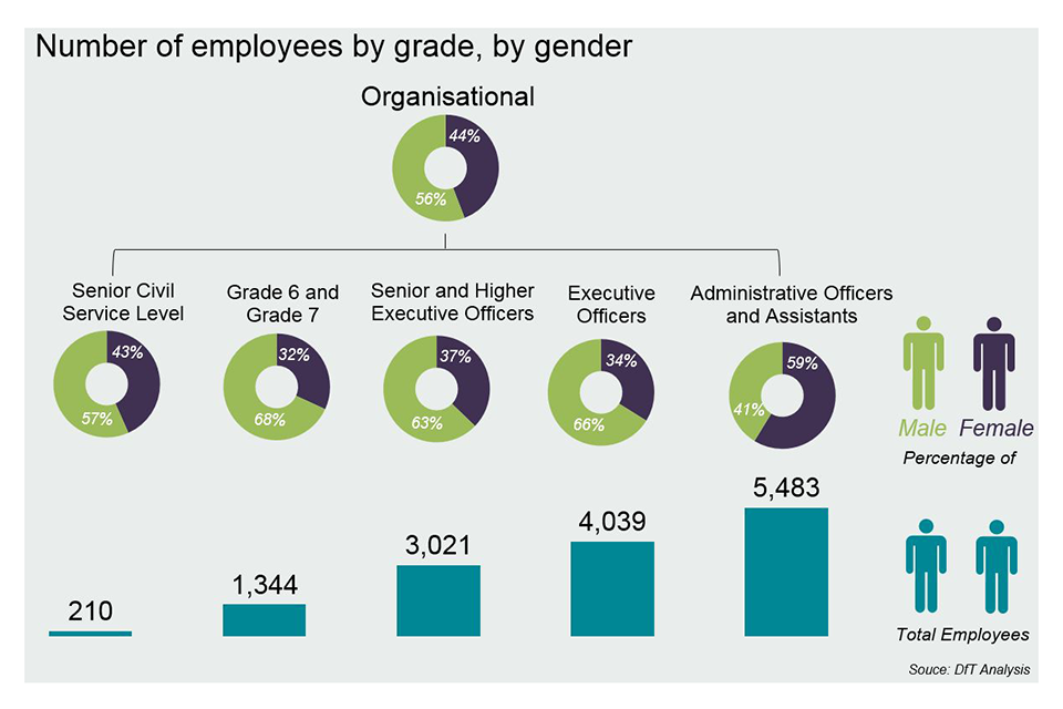 Number of staff broken down by grade and gender for DfT and its agencies. Overall 56% are male and 44% female. By grade the the chart shows males are most represented at grade 6 7 level with 68% and females at admin officer level with 59%.