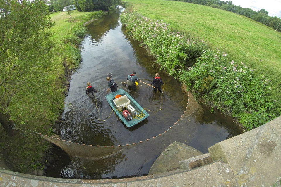 Fish moved to make way for flood scheme construction