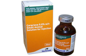 Carprieve Small Animal Injection