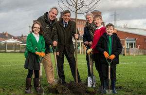 Tree planting