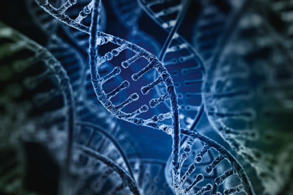 Illustration of a DNA strand (credit: iLexx/iStock - ID:485038074)