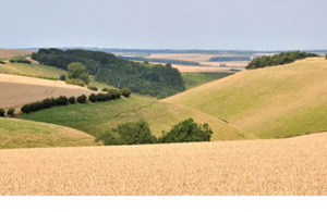 Yorkshire hills