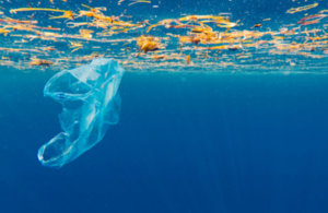 A plastic bag in the sea