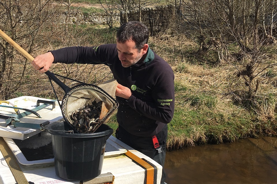 Busy 40th year for Kielder Salmon Centre