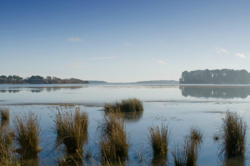 Strengthened protection for Poole Harbour's unique range of wildlife