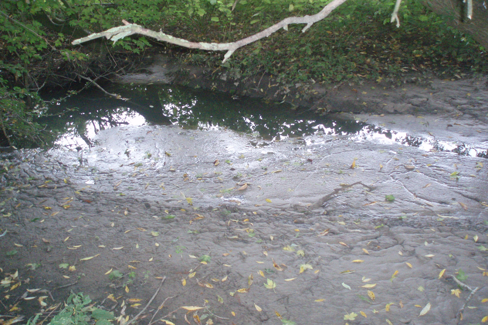 Thames Water to pay £80,000 after sewer blunder