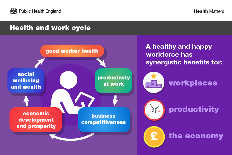 Infographic illustrating the 5 stages of the health and work cycle and the benefits of a healthy and happy workforce.