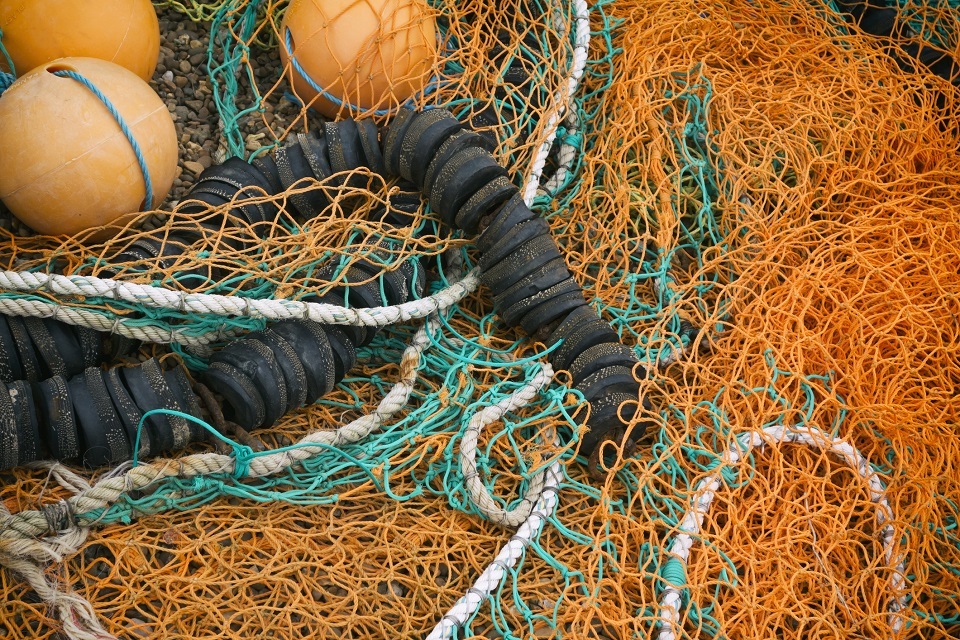 Update on fishing for sea bass in 2019