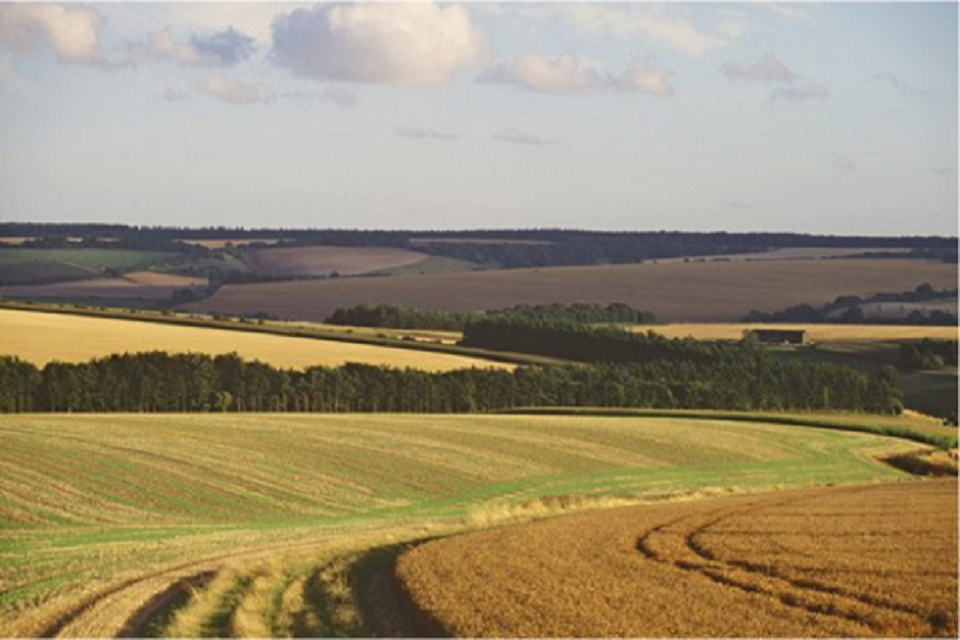New government guidance encourages pesticides industry to prepare for EU exit