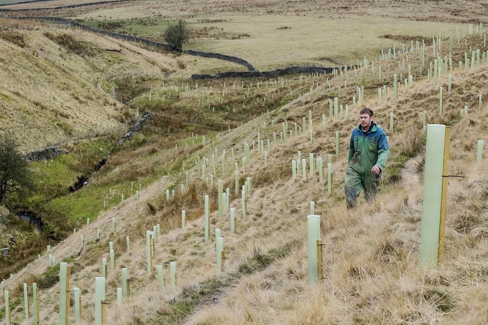 Reduce flood risk with the Woodlands for Water scheme