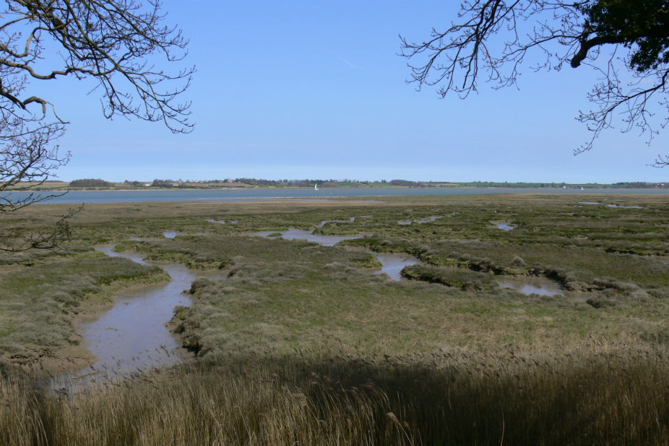 Strengthened protection for Essex and Suffolk countryside