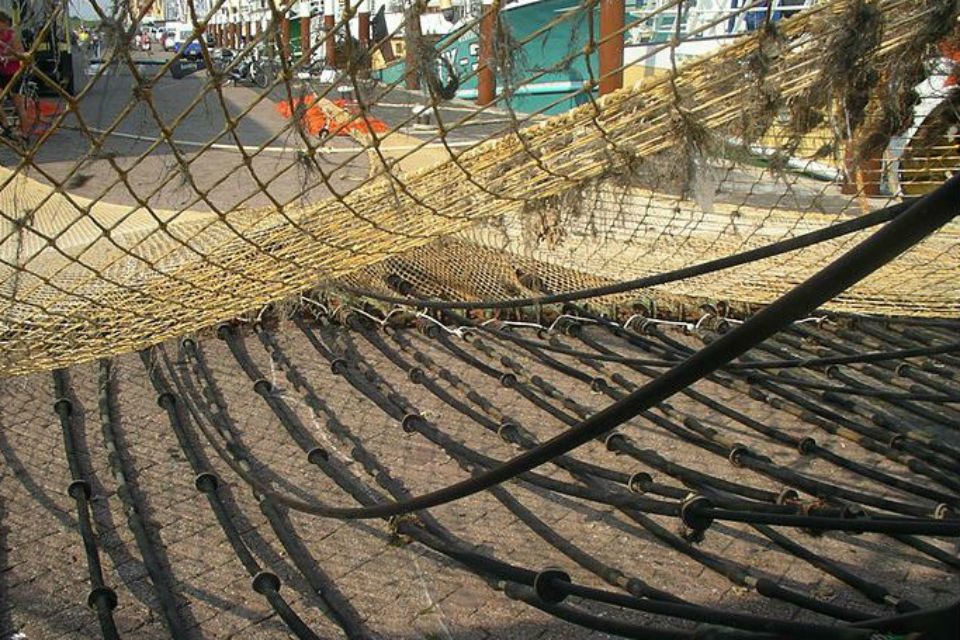 EU vessels prevented from electric shock fishing post Brexit