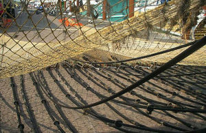 Picture of a pulse trawl net