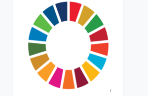 SDG logo