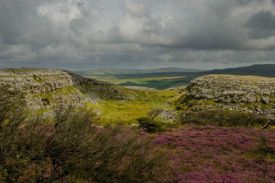 National Nature Reserves offer £36 million of benefits to society