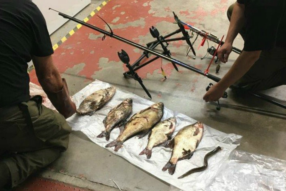 Illegal fishing costs 3 men more than £1,800