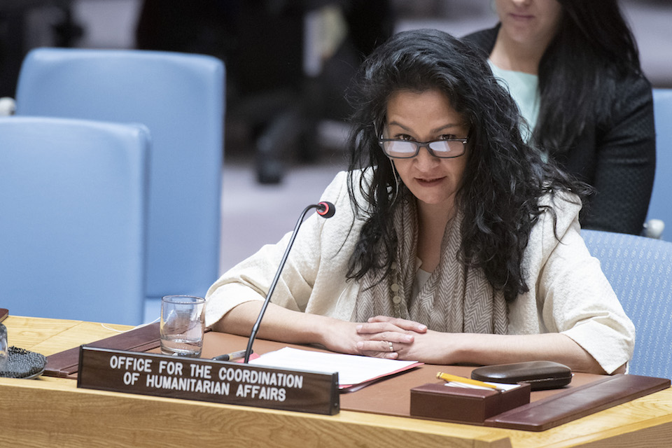 Reena Ghelani, Director of the Operations and Advocacy Division of the Office for the Coordination of Humanitarian Affairs (OCHA), briefs the Security Council meeting on the situation in the Middle East (Syria) (UN Photo)