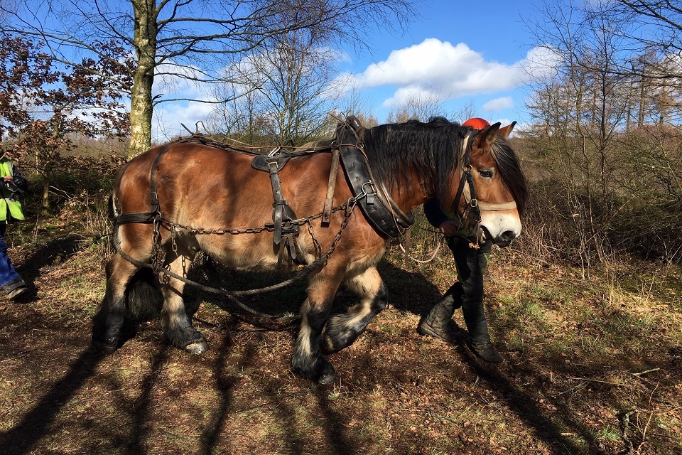 Horse power slows the flow in the Aire catchment