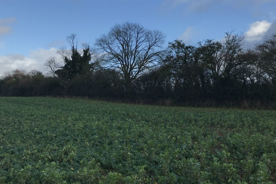Farmers advised to apply early for this year’s funding schemes
