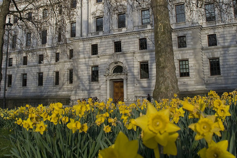 HM Treasury building in the spring (with daffodils)