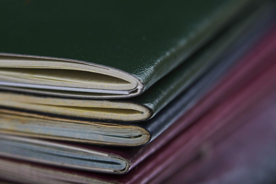 ePassport gates eligibility expansion confirmed for June