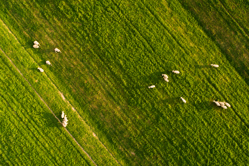 Combating food shortages: apply for funding