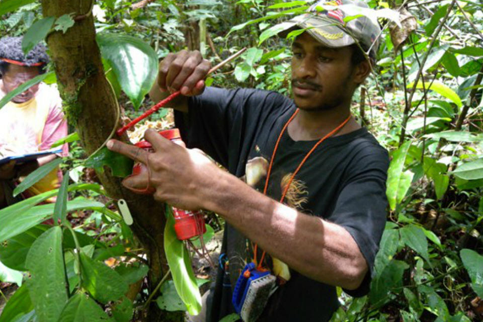 UN International Day of Forests 2019: Para ecologists – the paramedics of the rainforest
