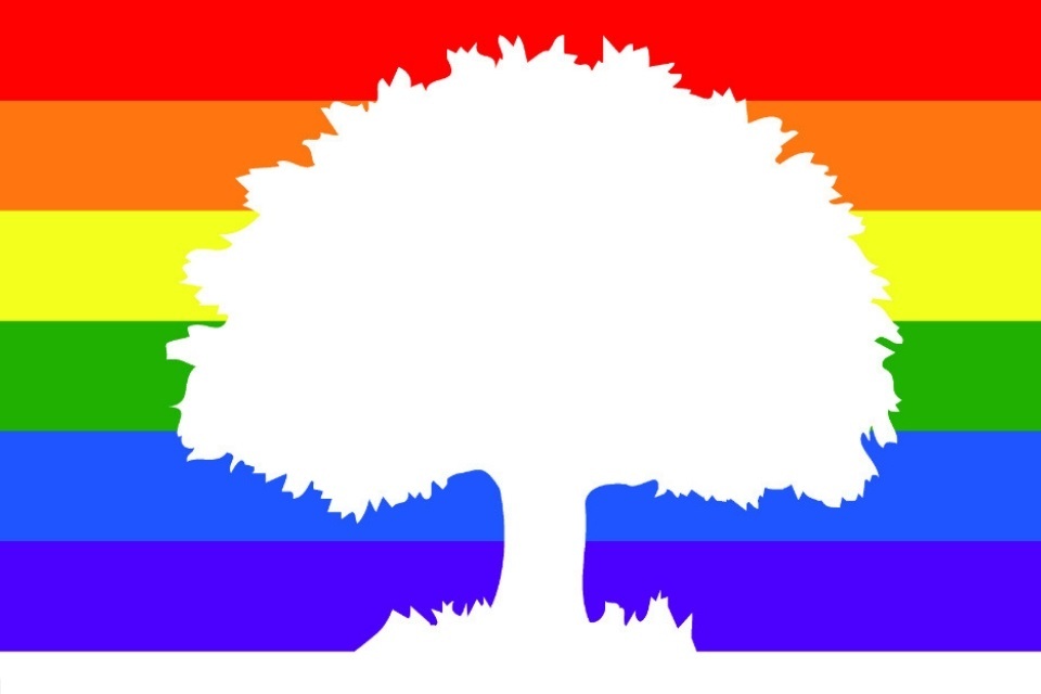 Student Loans Company marks LGBT+ milestone