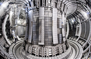 Inside the JET reactor vessel