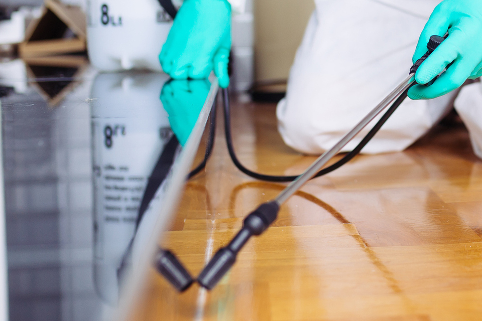 Pest control merger may raise competition issues