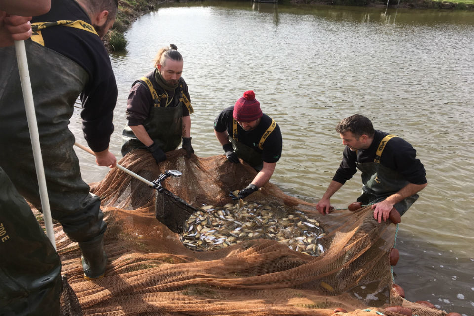 Record breaking year for Environment Agency’s National Coarse Fish Farm