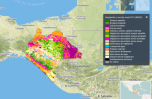 Ecometrica forest monitoring system using satellite image