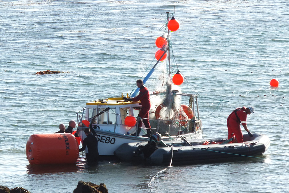 Laura Jane report and flyer published