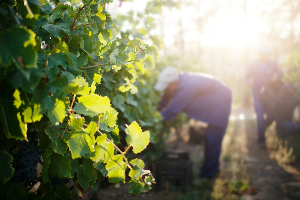 Home Office awards millions to help tackle worldwide slavery