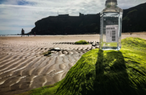 Close up of a water sample in a bottle on a rock on King Edward's Bay beach with a headland in the background