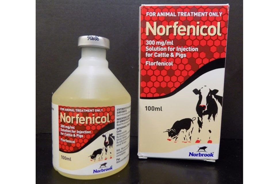 [Withdrawn] Norfenicol 300mg/ml Solution for Injection - Product defect ...