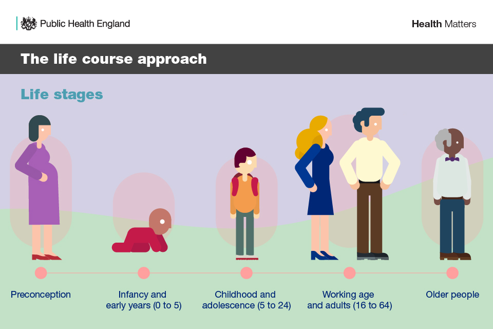 Infographic showing the life stages of the life course: preconception; early years; childhood and adolescence;working age; older people; 