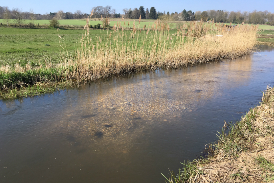 Norwich river given new lease of life