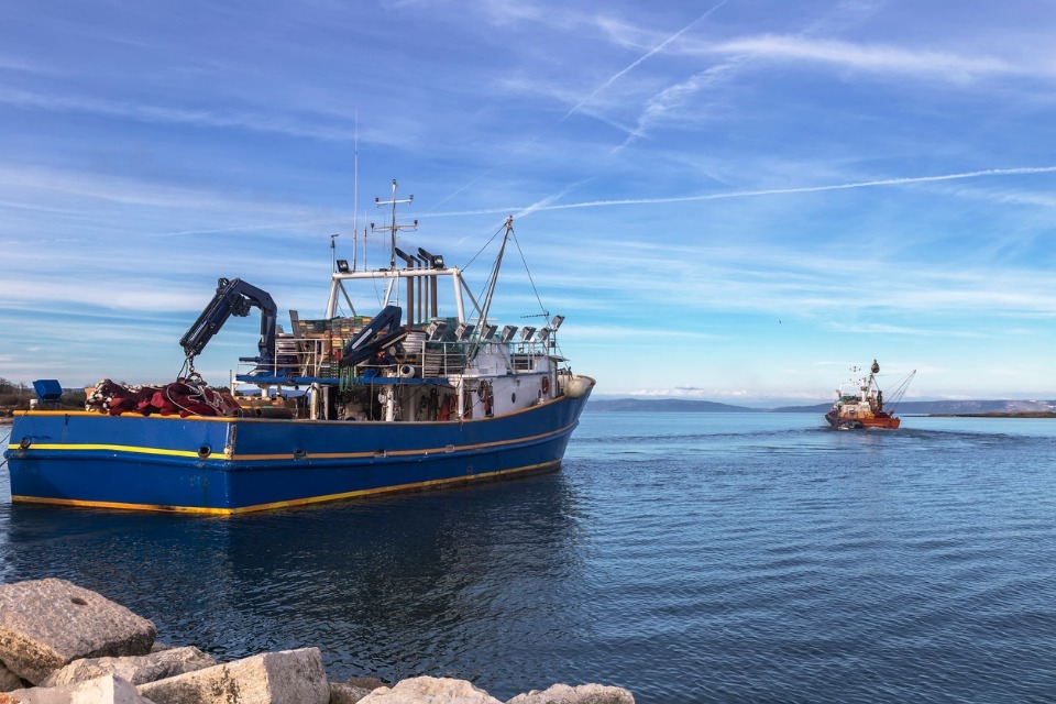 Applications open for an English fully documented fishery (FDF) scheme