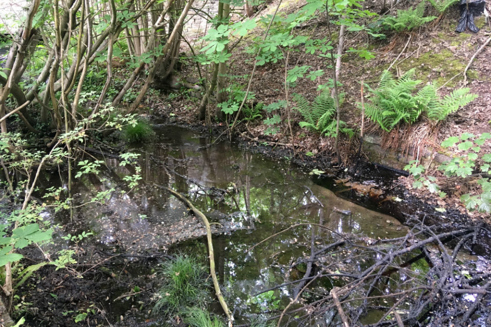 Appeal for help in tracing Keighley river pollution