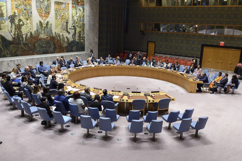 UN Security Council (UN Photo)