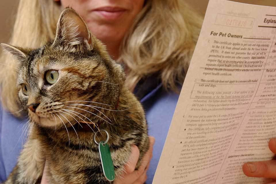 Pet owners reminded to seek advice on travel plans ahead of 31 October