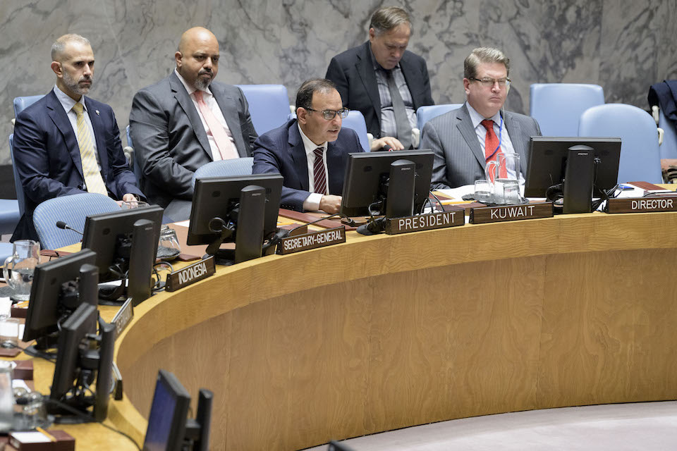 UN Security Council (UN Photo)