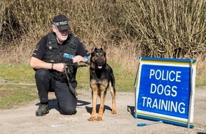 PD Meti being put through his paces