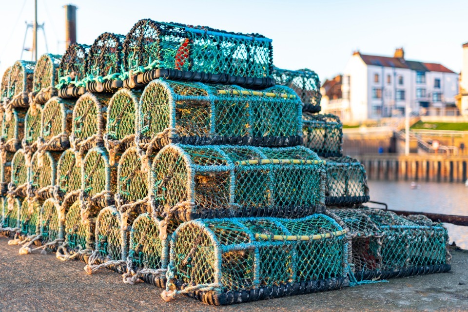 Catch recording for under 10m fishing vessels starts this summer