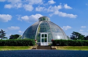 A picture of a glasshouse at Kew botanic gardens surrounded by greenery against a blue sky.