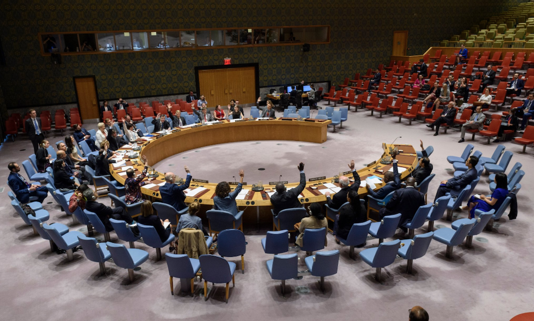 UN Security Council unanimously adopts Resolution 2475 on Persons with Disabilities in Armed Conflict