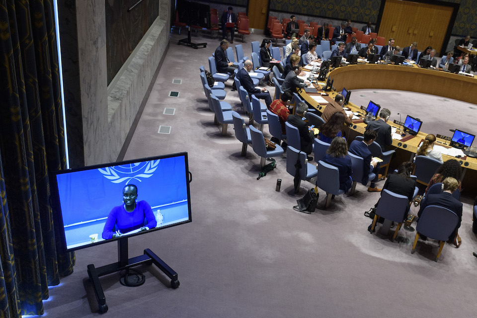 Security Council on South Sudan 