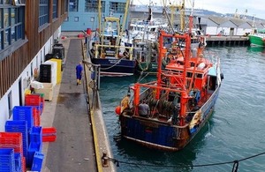 Fishing trawlers in harbour