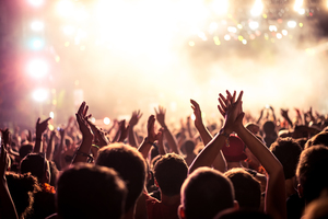 photograph: a number of fans at a gig with their hands in the air, the stage is in the background.